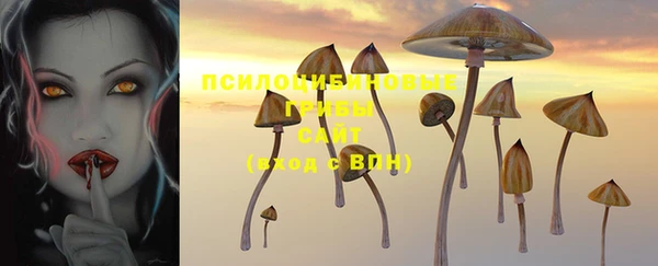 прущий лед Алексеевка